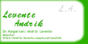 levente andrik business card